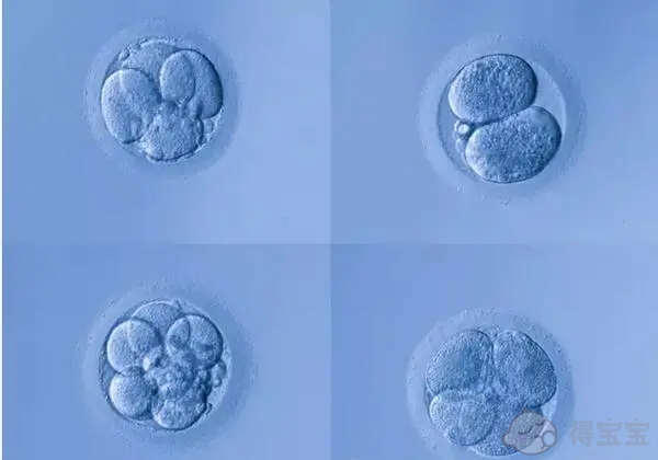 囊胚移植失败的原因有哪些