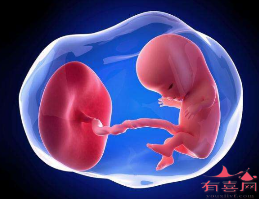 襄阳借卵试管助孕包成功费用：试管婴儿对子宫有害吗？
