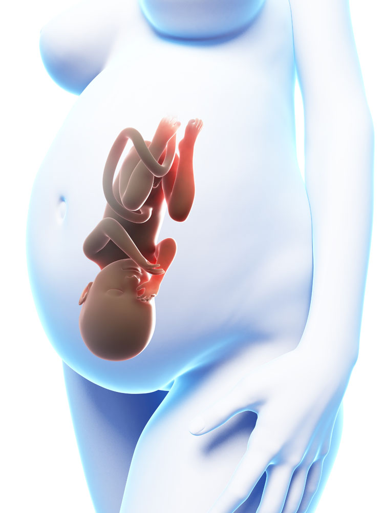 柳州45岁供卵-腹腔镜检查后需要多长时间才能怀孕？在什么时间范围内可以预期怀孕？
