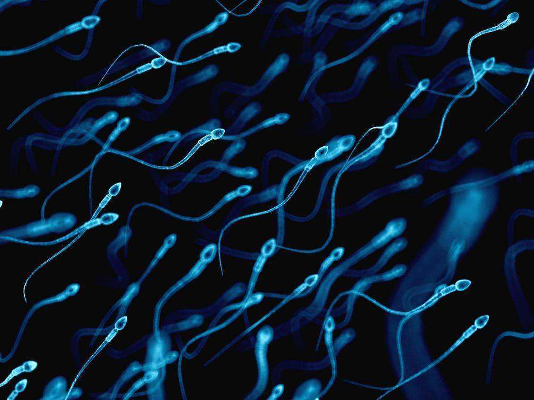 珠海49岁供卵试管-云浮有哪些试管婴儿诊所？(图1)
